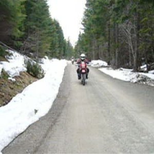 Snow Curbs