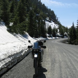 Road in to Tahsis