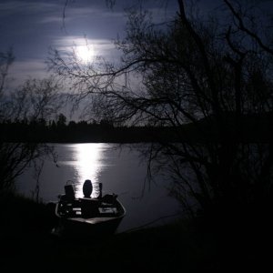 maylong_2008_139