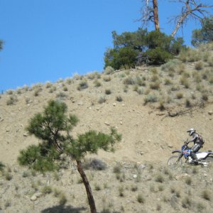 Dead Zone 08 Pre Ride