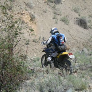 Dead Zone 08 Pre Ride
