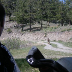 Dead Zone 08 Pre Ride