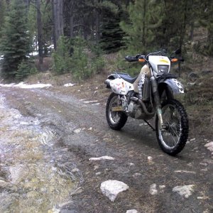 DZ EZ loop pre ride