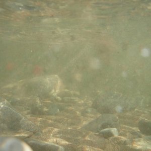 P5230019