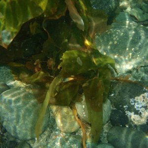 P5240068