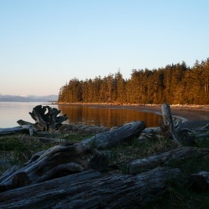 Tranquility.... A loon was calling