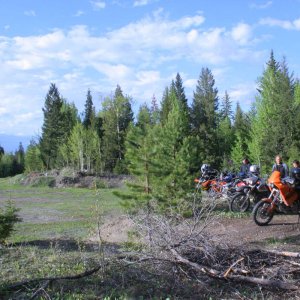 may29_08_045