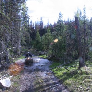 may29_08_039