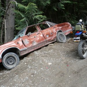 Found On Road Dead