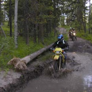IMGP0060