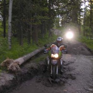 IMGP0061