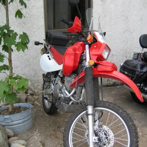 MY XR650L