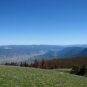 IMG_0575