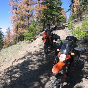 Front_tire_022