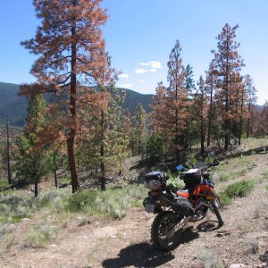 Front_tire_017