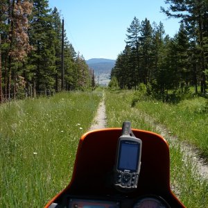 Stump Lk area