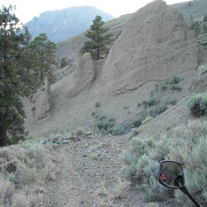 Dead Zone 2008