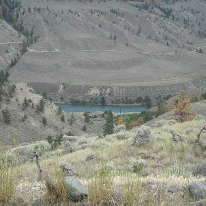 Dead Zone 2008