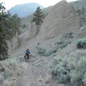 Dead Zone 2008