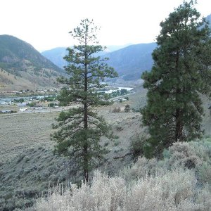 Dead Zone 2008