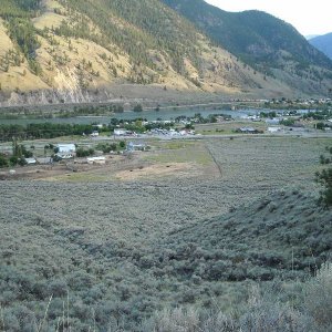 Dead Zone 2008