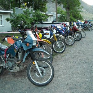 Dead Zone 2008