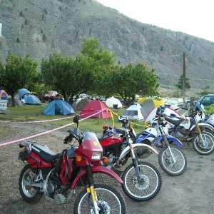 Dead Zone 2008