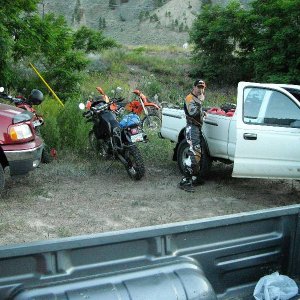 Dead Zone 2008