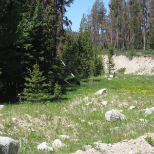DZ_018