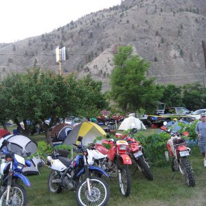 DZ_011