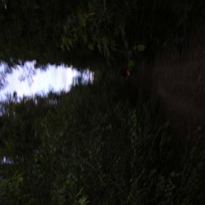 IMGP0076