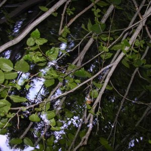 IMGP0077