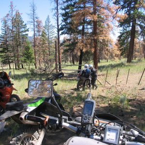 Front_tire_076