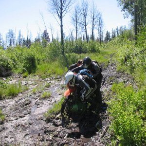 Front_tire_058
