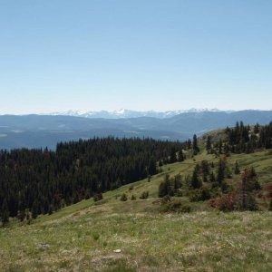 DZ08_003