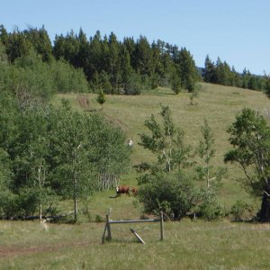 DZ08_009