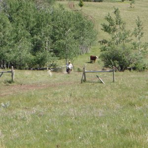 DZ08_010