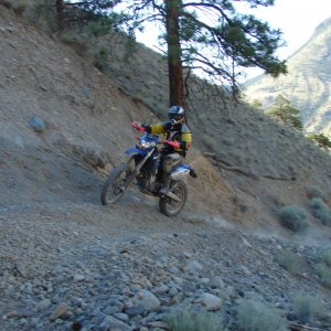 deadzone_050