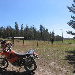 Front_tire_134