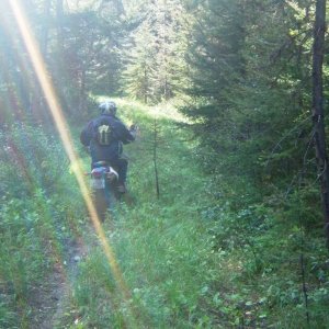 singletrack