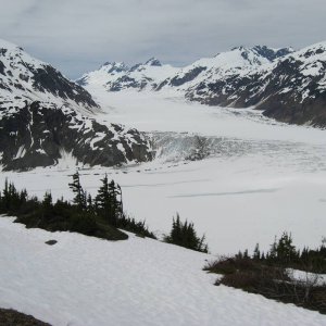 Salmon Glacier