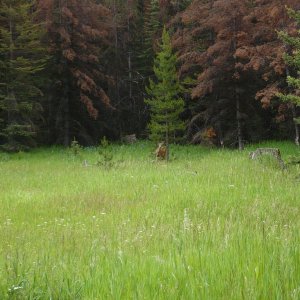P1000767