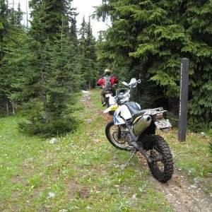 Pre Ride RR 2008