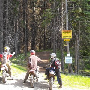 Pre Ride RR 2008