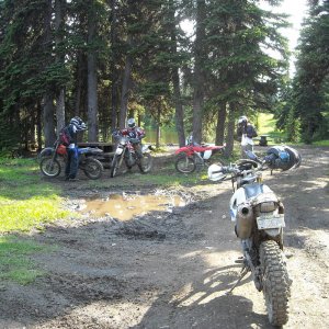 Pre Ride RR 2008