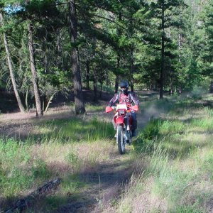 MC_DZ_Trip_07_08_020