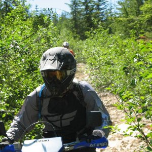 Saturday Ride