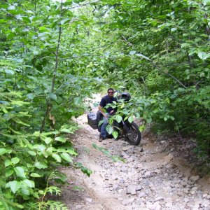 Road to Rowbotham