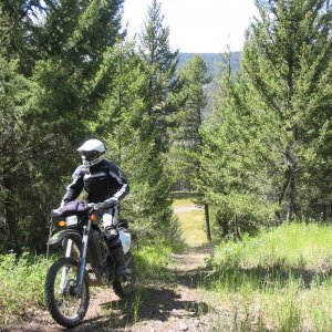LSDS_pre-ride_08_023