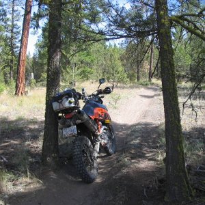 LSDS_pre-ride_08_030